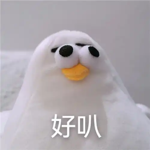 表情包你礼貌吗的沙雕表情