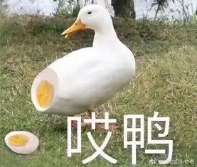 教他偷车也算是手艺每日轻松一刻11月23日晚间版