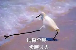 测试一个超长简介的文章