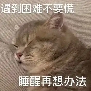 动物表情包,太可爱啦