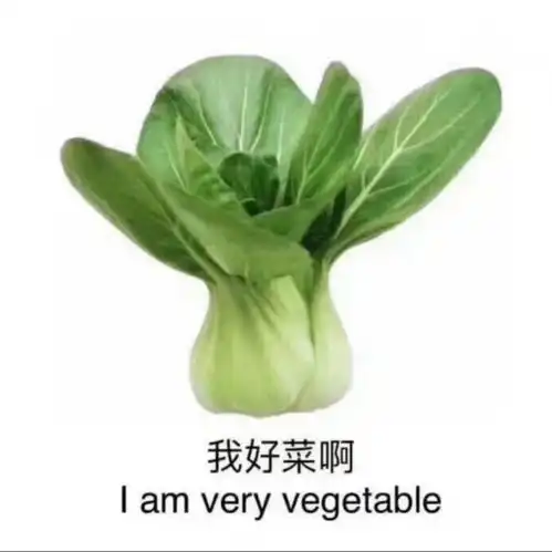 表情包头像