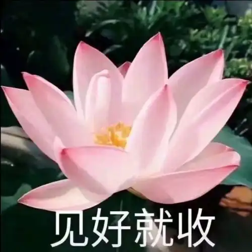 你担有糊且爱蹭的舍友真的很难受,谁懂热赞变化有趣