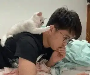 银渐层趴在主人肩膀上看视频,还会做出惊吓的表情,萌化网友的心