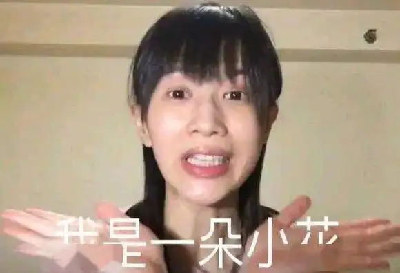 代购转行指南丨必有一款适合你