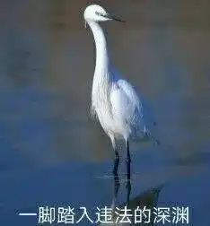 最后,是表情包说尽了我一年的酸甜苦辣