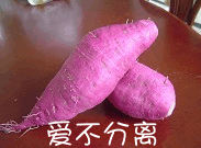 qq表情搞笑qq表情古怪趣味爱不分离
