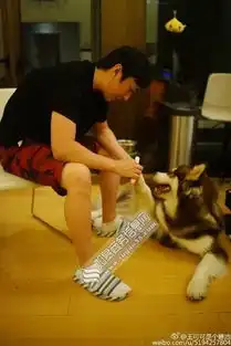 王思聪为爱犬做美甲开专属微博网友直呼狗生赢家