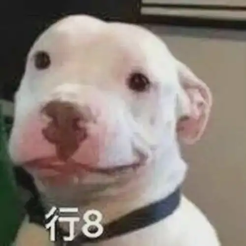 搞怪表情包来啦噜