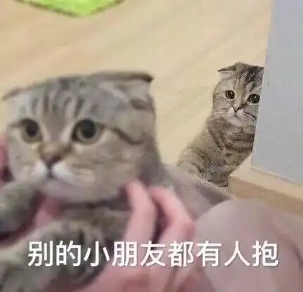 为什么很多人聊天都喜欢用猫咪表情包附最全猫咪表情包