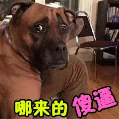 萌宠狗狗有趣表情包过奖了过奖了,我哪有这么好