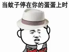 表情表情包当蚊子停在你的蛋蛋时,你才知道暴力不能表情