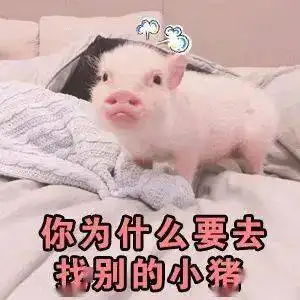 没见过这样的表情包哈哈哈...