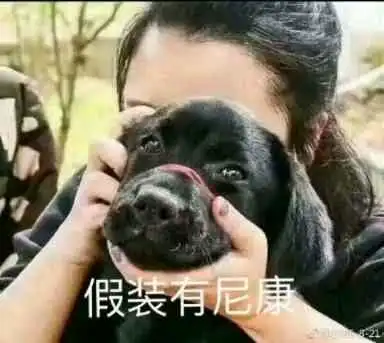 玩了几年摄影,收藏的有关各种摄影表情包,供大家欣赏