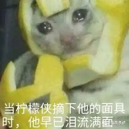 测试一个超长简介的文章
