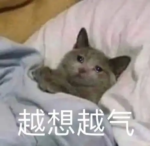 动态表情包丨搞笑表情包图片无字0625期