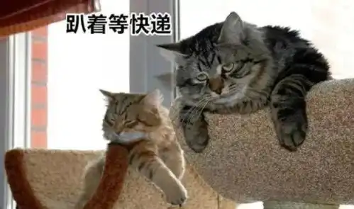 快递到上海又卡住不动了送到小区门口的包裹统统堆地上丢件也不在少数原因或许是