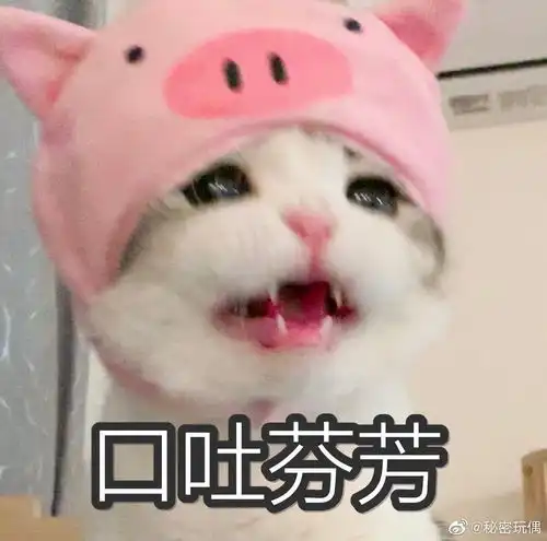 这个猫猫的表情包太可爱了谁有这只猫的表情包吗万分感谢