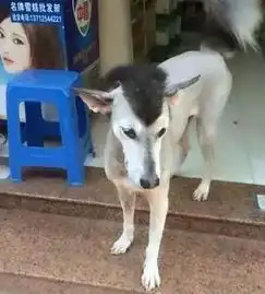 老师心里想我就静静的看着你接吻,搞笑图片合集