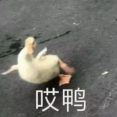 既沙雕又搞怪的文案