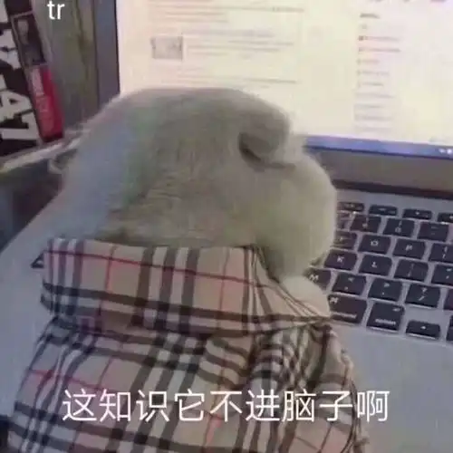 只能沙雕亿点点的,不能沙雕多了的表情包