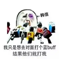 有没有王者荣耀表情包