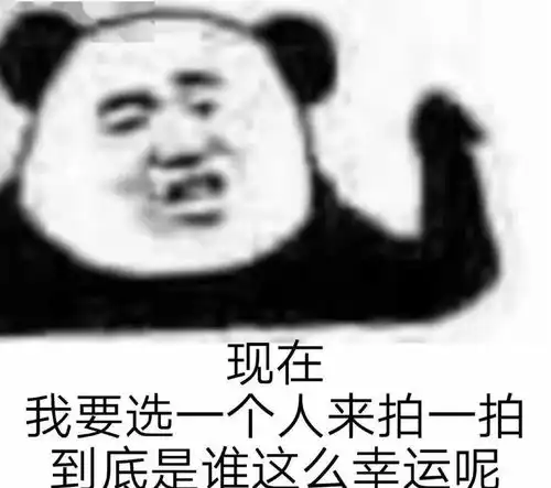 没事别拍我,我还以为爱情来了
