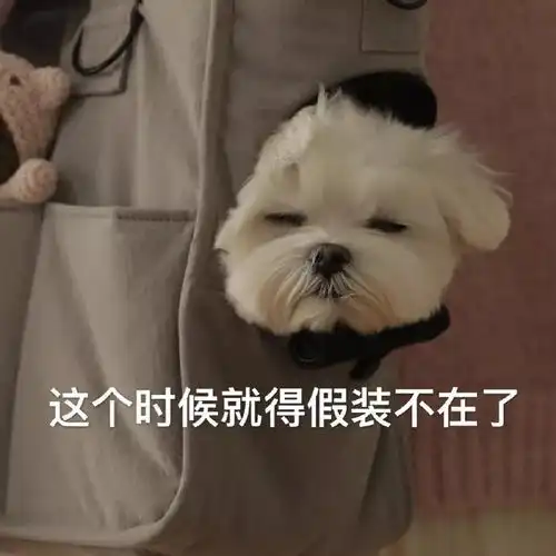 我最期待的画面出现了