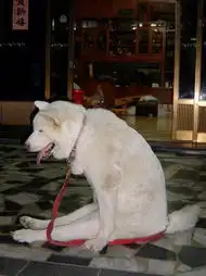 门前站一天累得不行了,休息一下