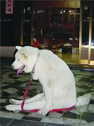 生活频道生活闲谈创意吧