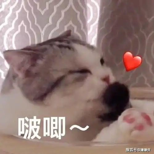 搞笑表情包图片面对滔滔不绝的人,你必须要有这张图