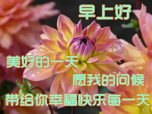 2020早上好阳光短信祝福语句,微信清晨最美的早安问候表情图片