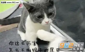 王者荣耀猫咪版表情包王者荣耀猫表情包下载乐游网游戏下载
