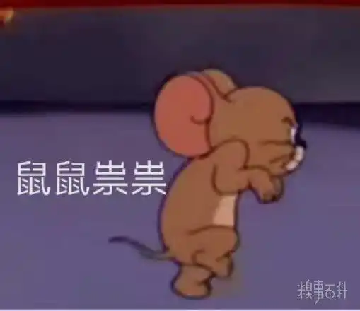 猫和老鼠表情包更新,礼貌拿图老板早鼠鼠祟祟邪恶的微笑在违法的边缘达成一致尴尬快开门,你点的鸭到啦那就这么说好啦骚到发光我这个小老鼠,看到了什么