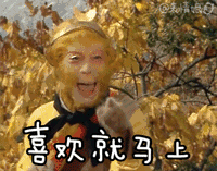 测试一个超长简介的文章