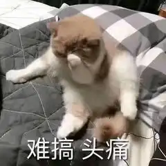 孩子尿床别拖,小心拖出心理疾病
