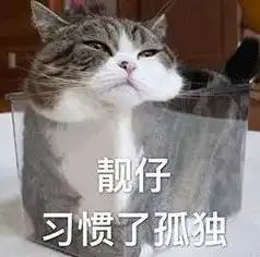 主人给喵星人拍照,结果一张比一张丑,连喵都看不下去了