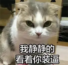 猫咪大盘点最受欢迎的最凶最难搞的最容易变胖的......