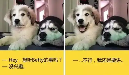 汪星人个个都是表情帝