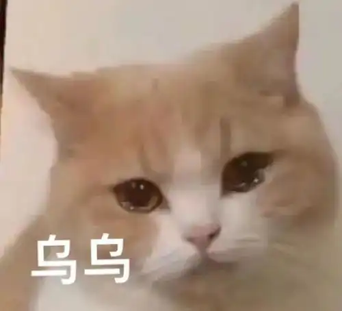 熊猫头表情包你这波操作实属下饭