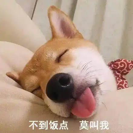二狗子表情包