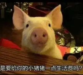 2019最常用的有趣搞笑表情合集微信群聊天必备表情