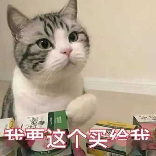 猫猫表情包第十期丨爱情这杯酒,谁喝都得醉