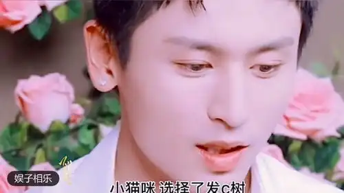张哲瀚明星资料大全张哲瀚动态张哲瀚电视剧电影爱奇艺泡泡