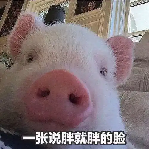 限时领取红包还剩3次机会,手慢无