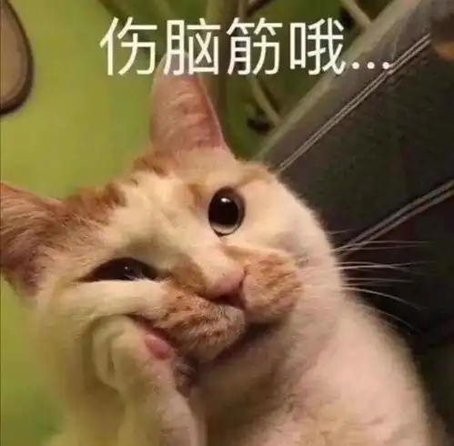 福利购丨小两百就能买到的女明星同款,这个新年穿它就够了