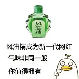 风油精表情包