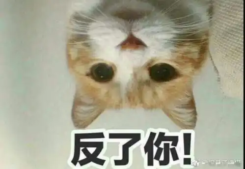 最新进展河北省委督导组介入调查阜平县事件
