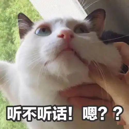 六一最火表情合集,打遍朋友圈无敌手
