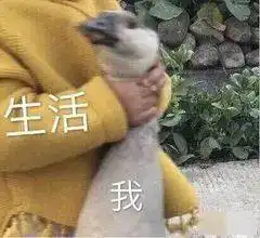 第33个高温日厦门连续打破三个月纪录台风加强,未来天气