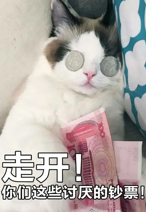 今天丢了22块钱,心碎了